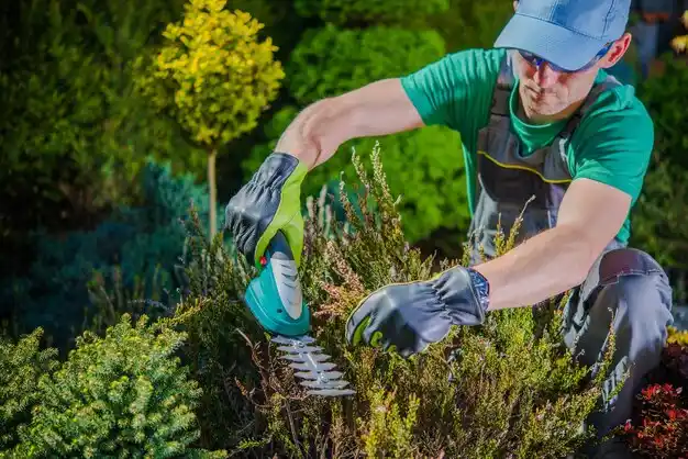 landscaping services Hubbard